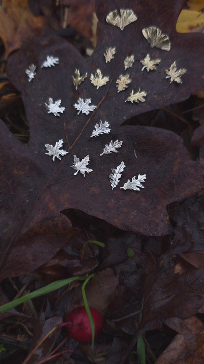 Autumn Leaf Stud Earrings in Sterling Silver